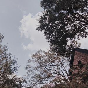 Meet your Posher, Leo